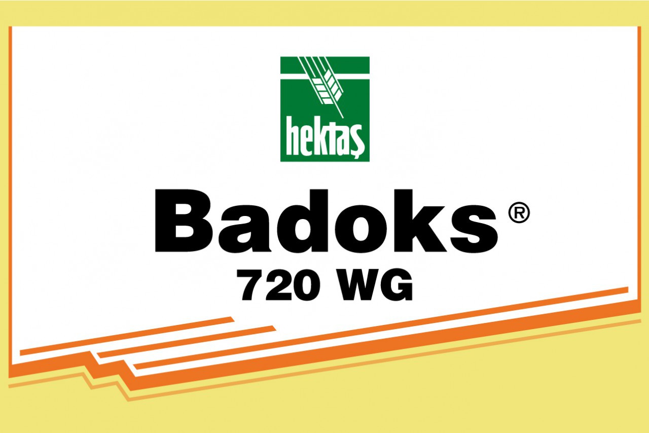 BADOKS 720 WG