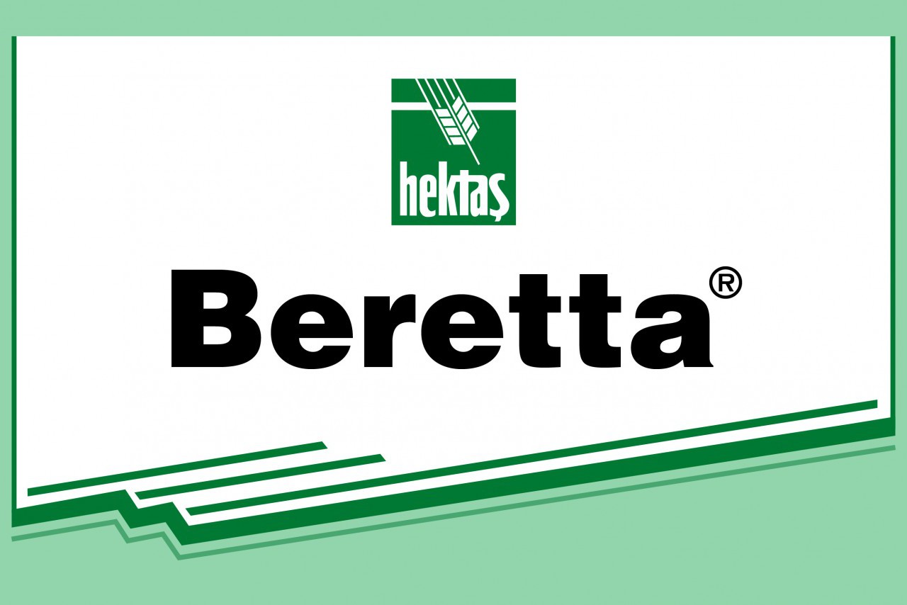 BERETTA