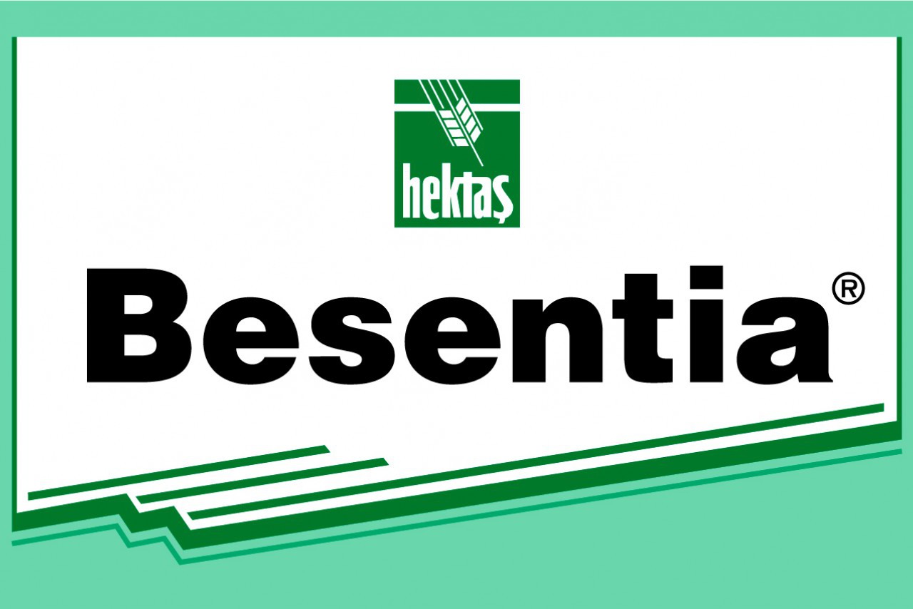 BESENTİA