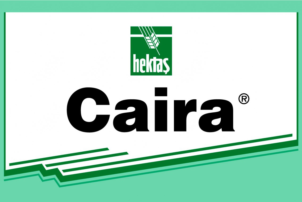 CAİRA