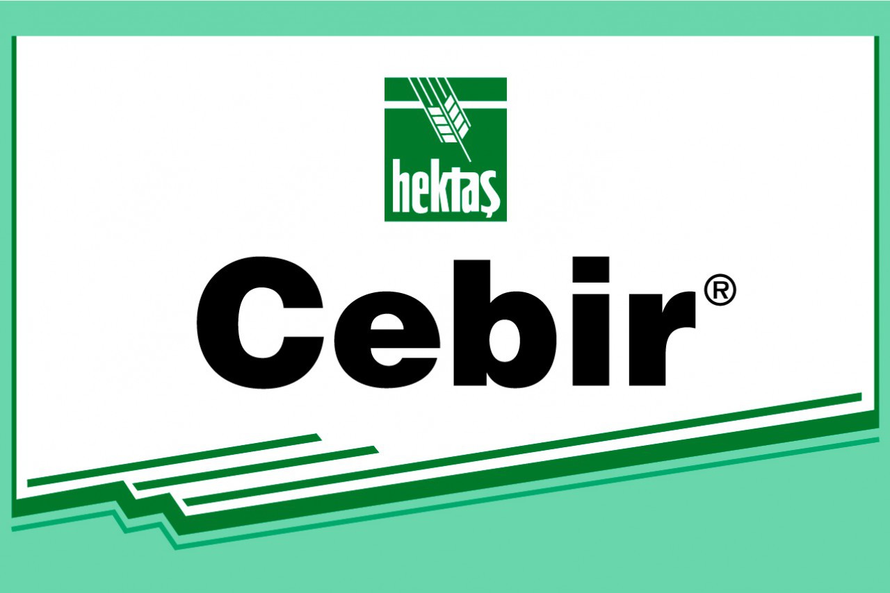 CEBİR