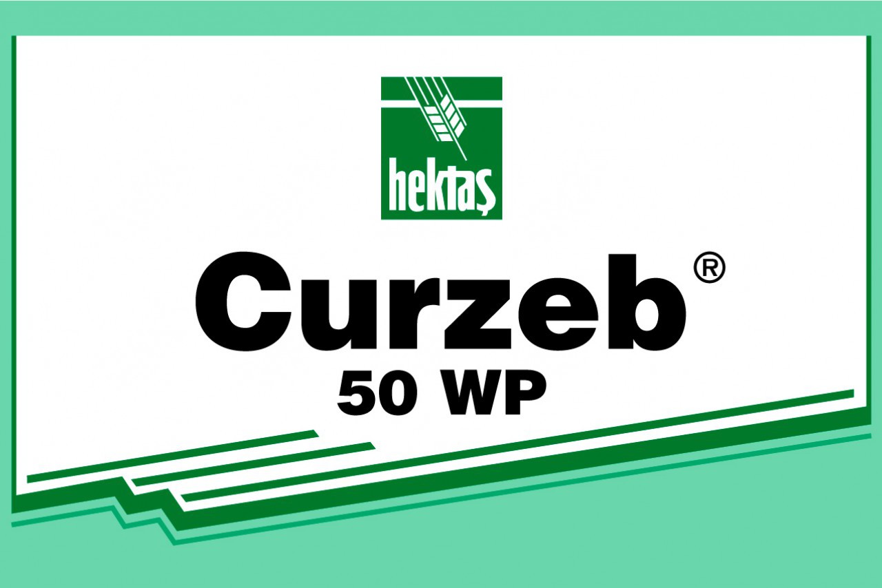 CURZEB 50 WP