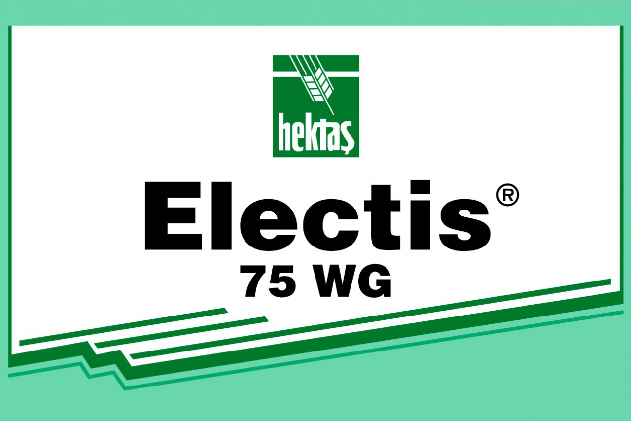 ELECTİS 75 WG