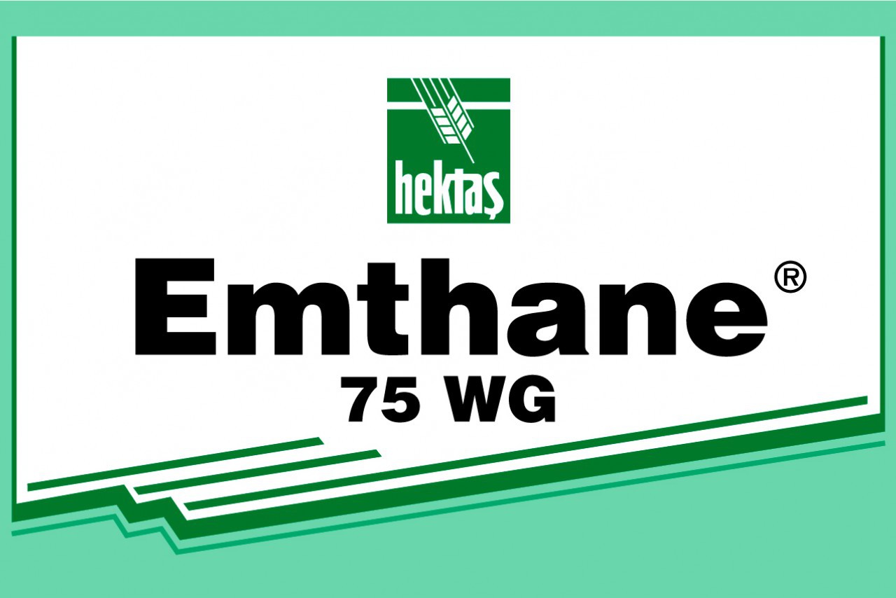 EMTHANE 75 WG