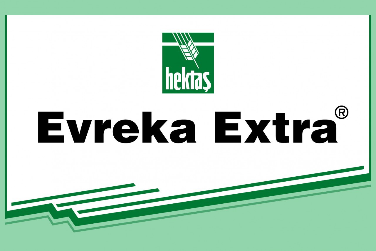 EVREKA EXTRA