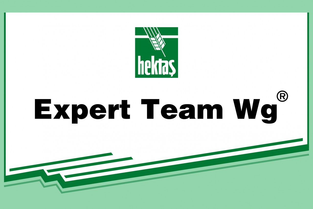 EXPERT TEAM WG