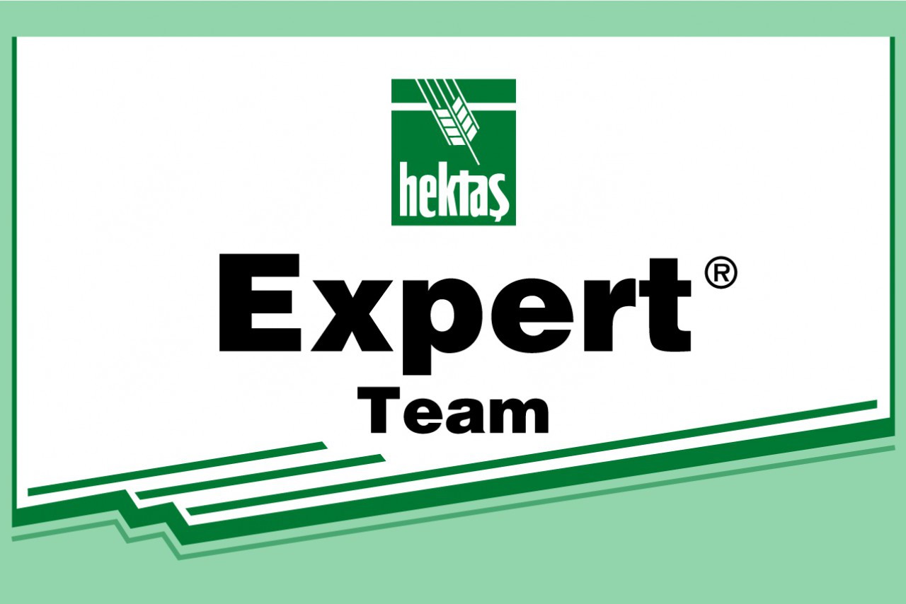 EXPERT TEAM