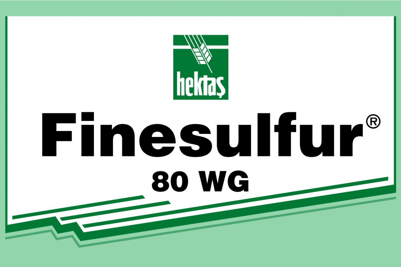 FİNESULFUR 80 WG