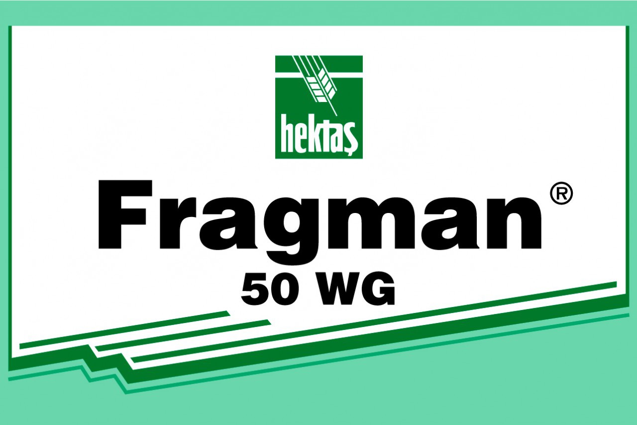 FRAGMAN 50 WG