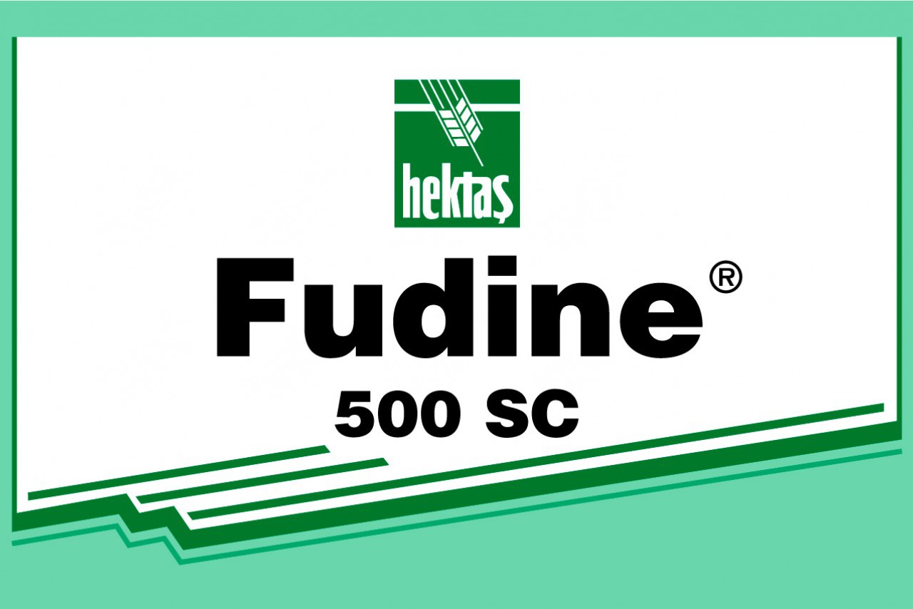 FUDİNE 500 SC