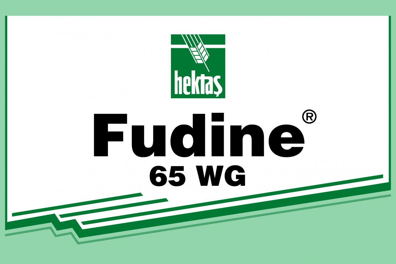 FUDİNE 65 WP