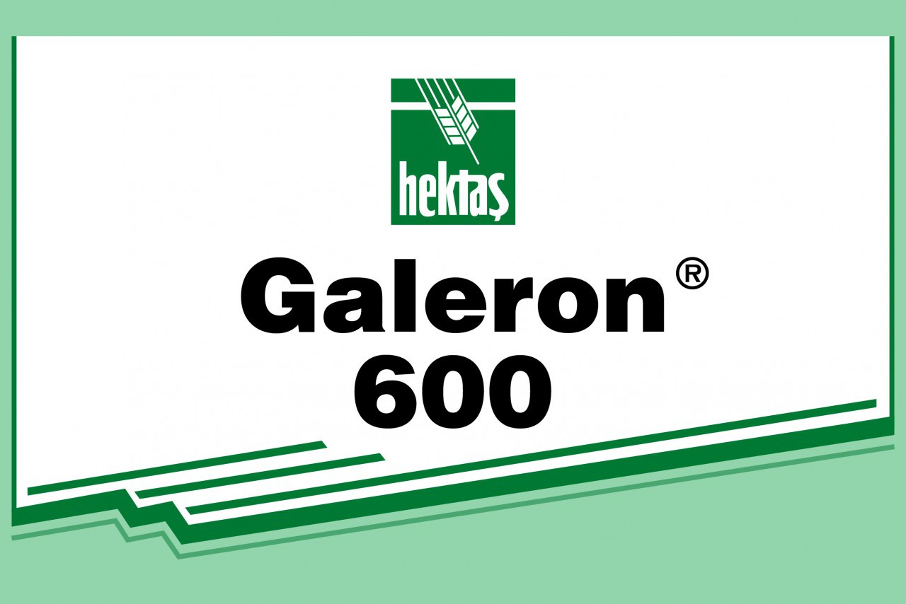 GALERON 600