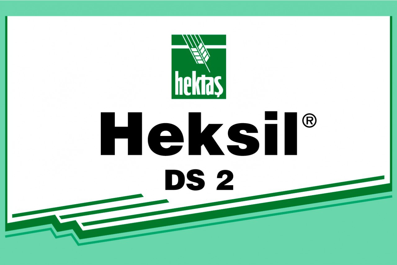 HEKSİL DS 2