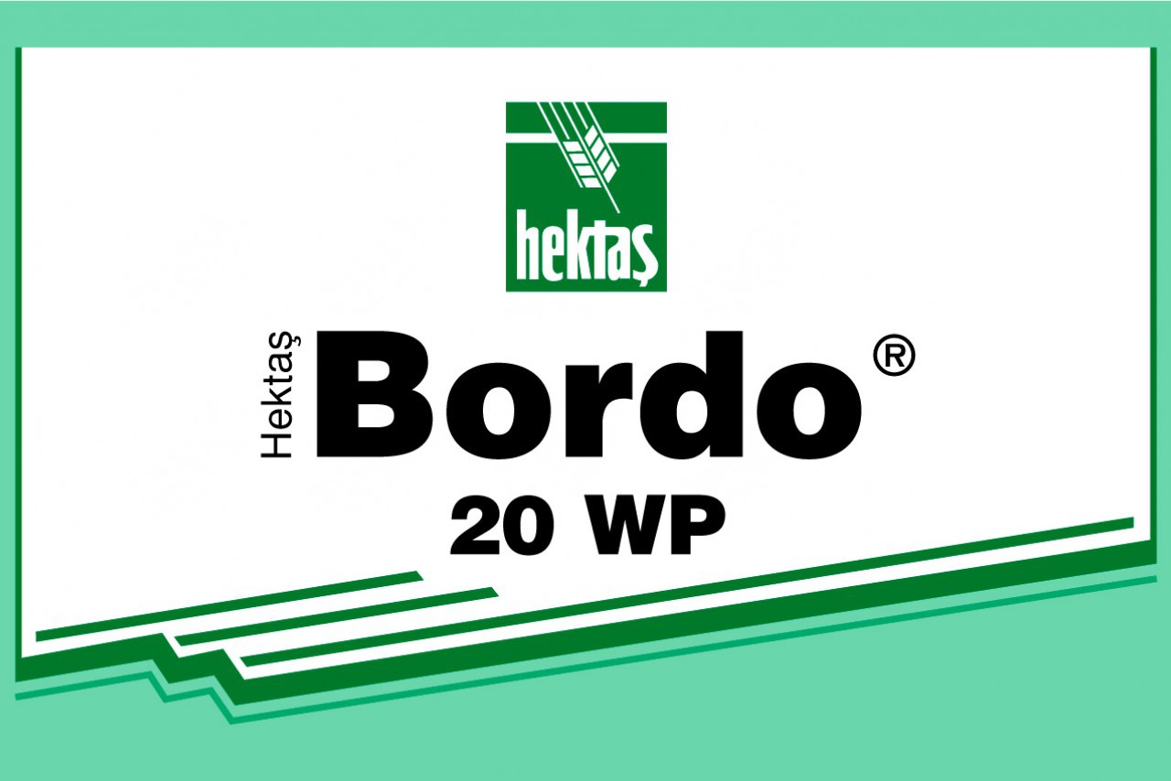 HEKTAŞ BORDO 20 WP