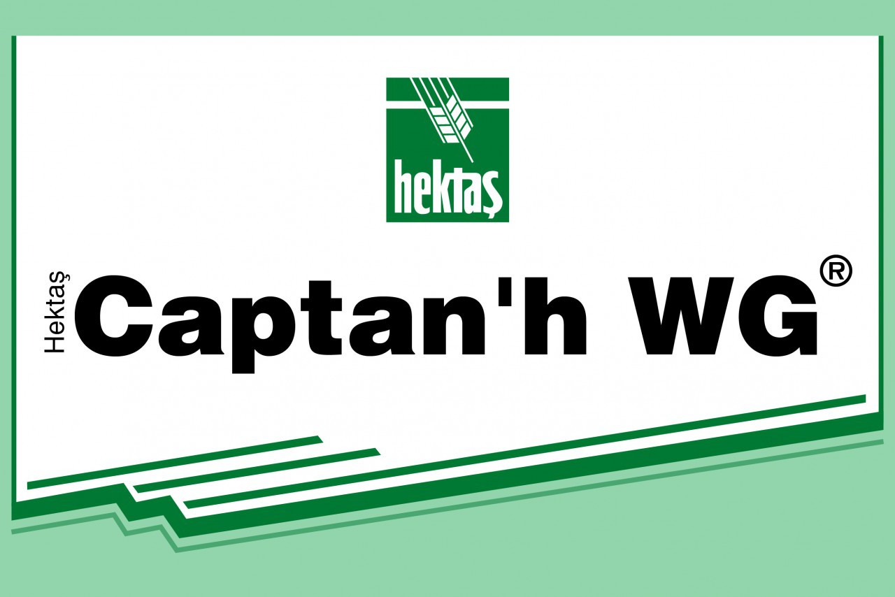 HEKTAŞ CAPTAN'H WG