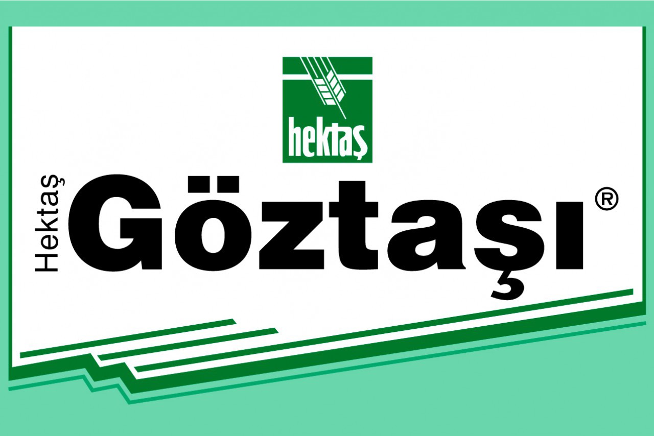 HEKTAŞ GÖZTAŞI