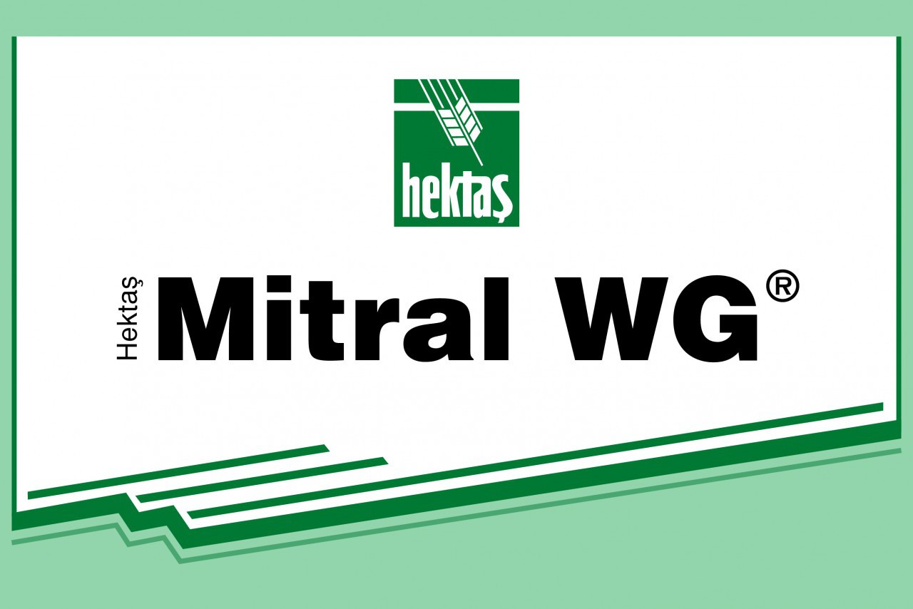 HEKTAŞ MİTRAL WG