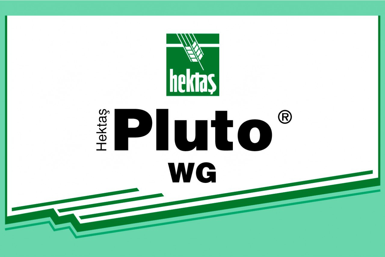 HEKTAŞ PLUTO WG