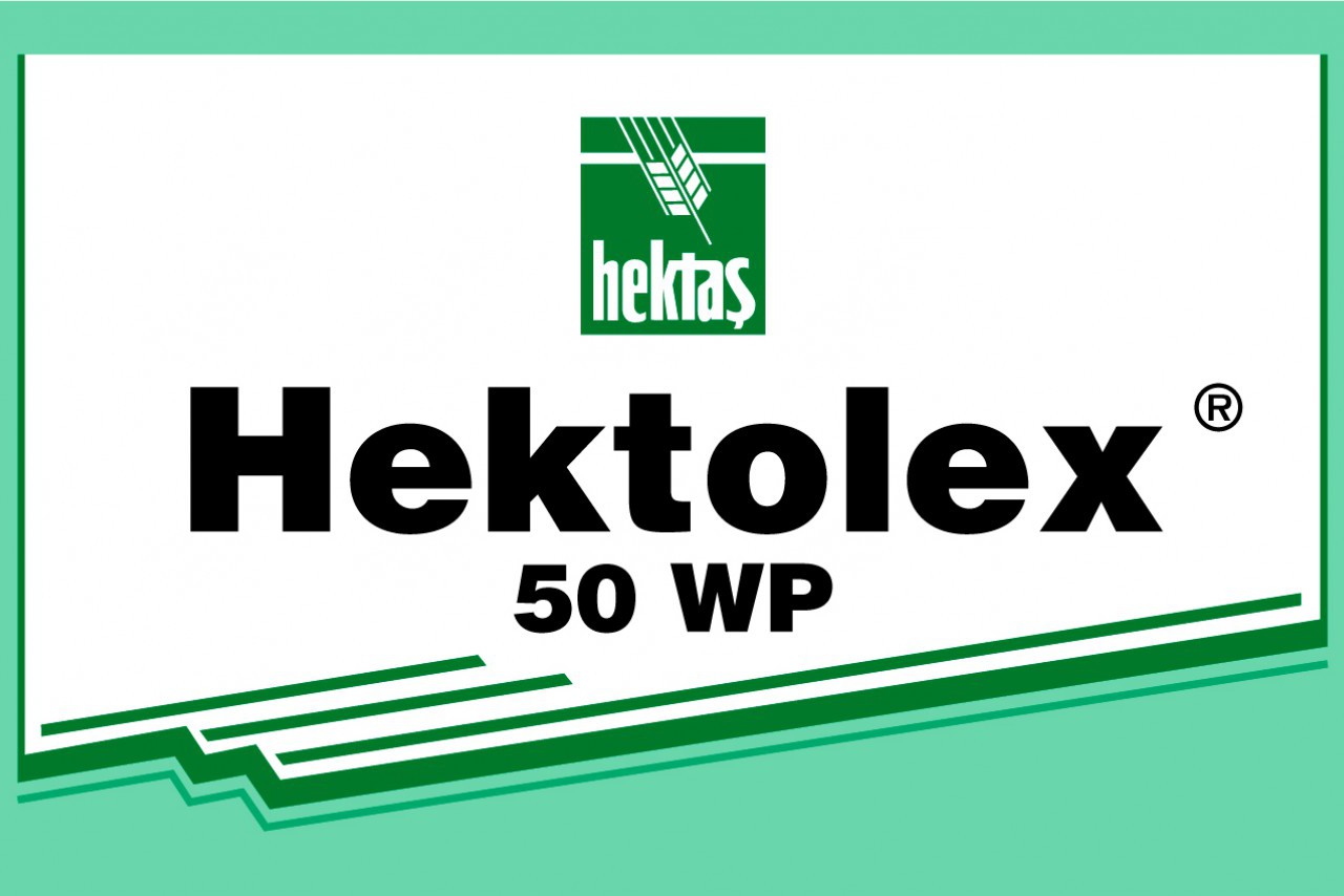 HEKTOLEX 50 WP