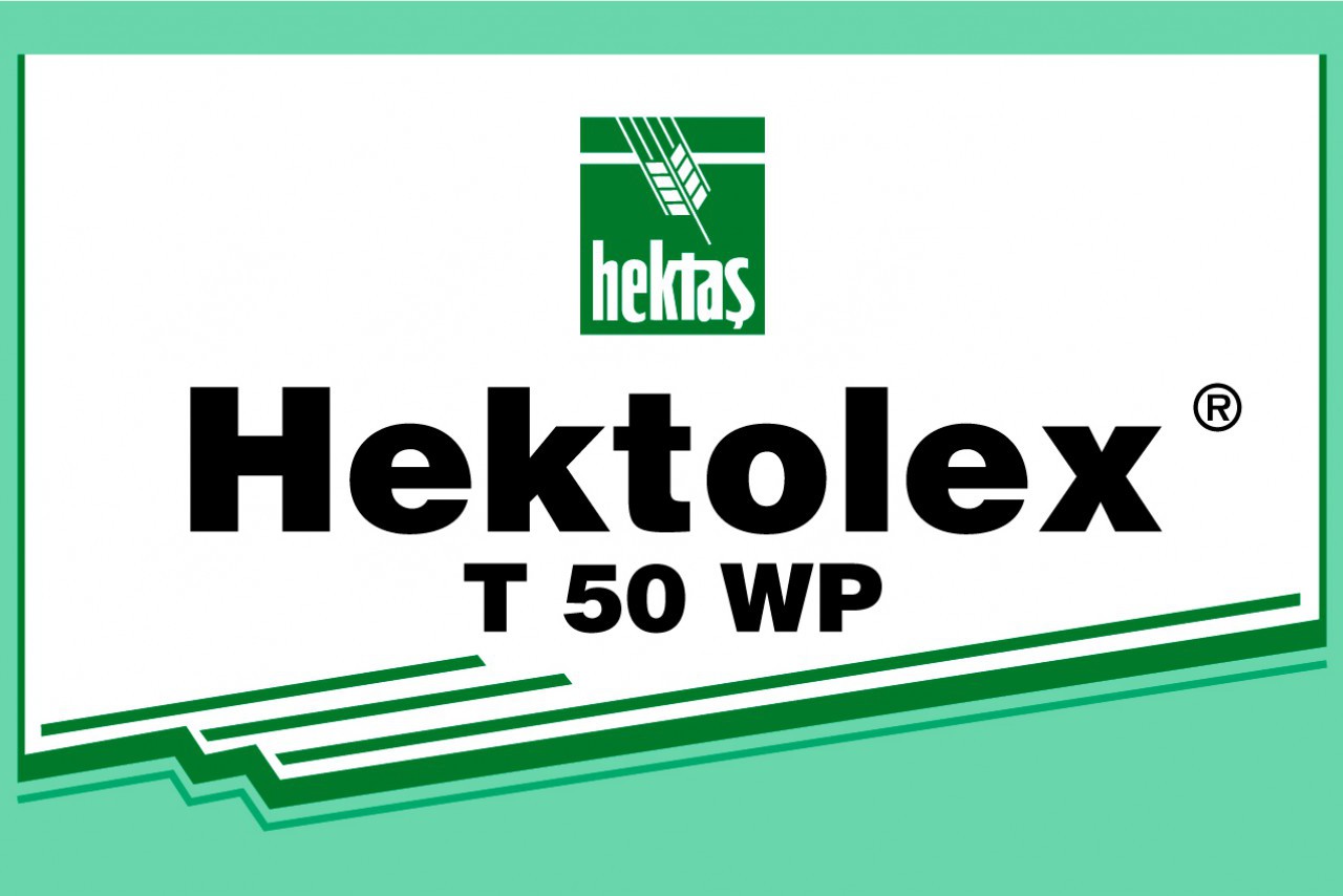 HEKTOLEX T 50 WP