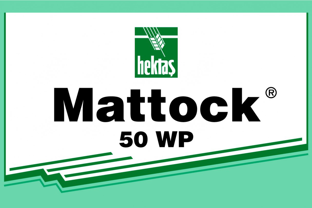 MATTOCK 50 WP