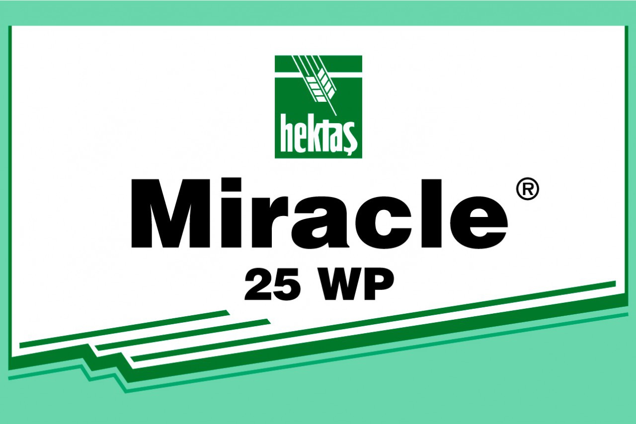 MİRACLE 25 WP