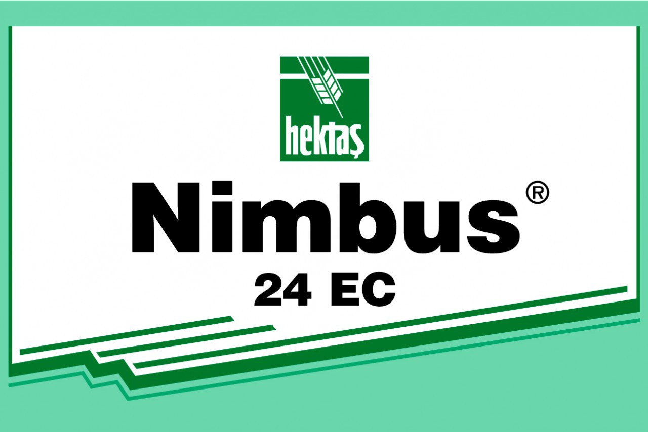 NİMBUS 24 EC