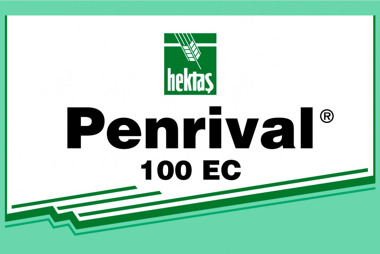 PENRIVAL 100 EC